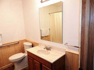 60's 2nd floor bathroom with tubshower resized         